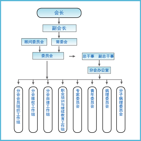 组织架构图